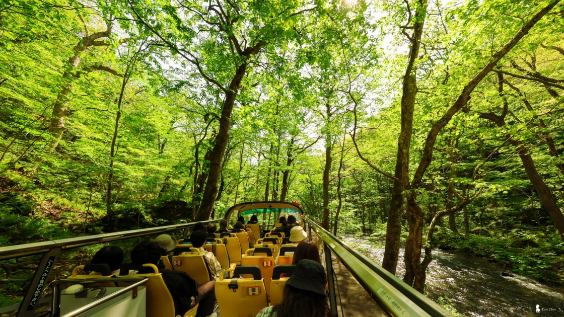 星野集團奧入瀨溪流飯店 × 星宇航空｜初夏，與綠意相遇的一場療癒旅程