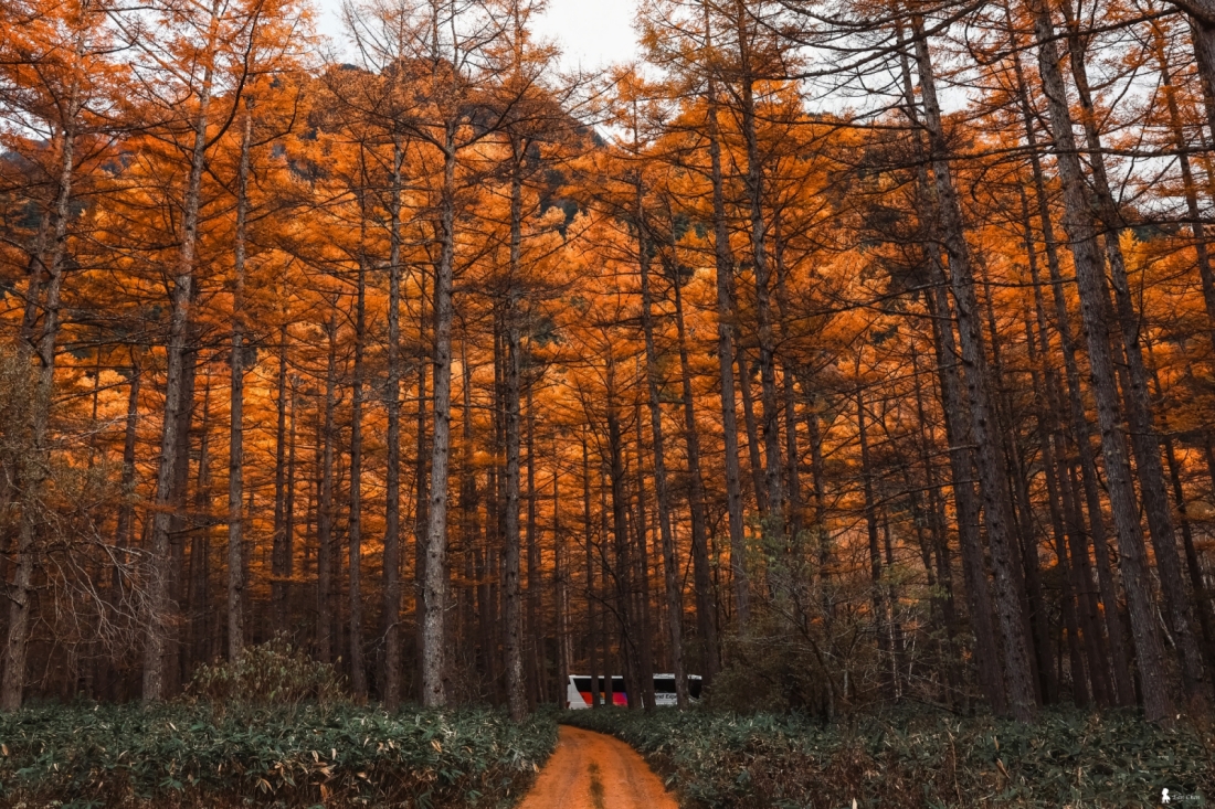 在上高地醒來的奢侈:2025 深秋連泊筆記,從名宿窗景到百年的岩魚滋味 在上高地醒來的奢侈:2025 深秋連泊筆記,從名宿窗景到百年的岩魚滋味